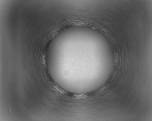 X0000052580621200507010915