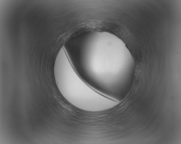 X0000052580623200507010915