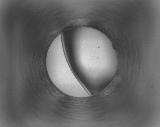 X0000052580624200507010915