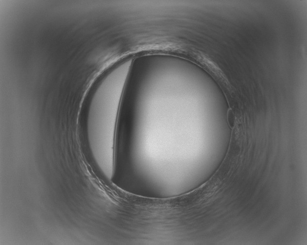X0000052580628200507010914
