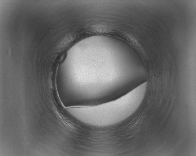 X0000052580635200507010914