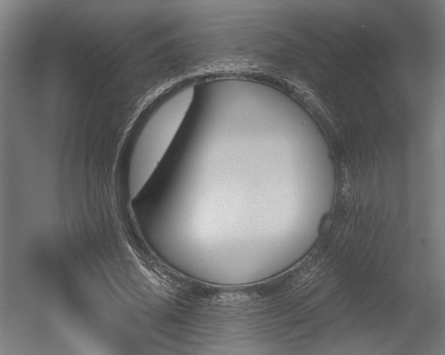X0000052580636200507010914