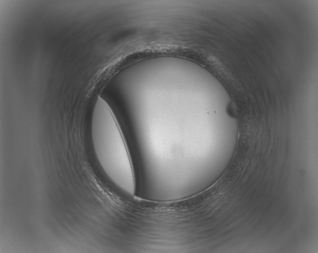 X0000052580640200507010914