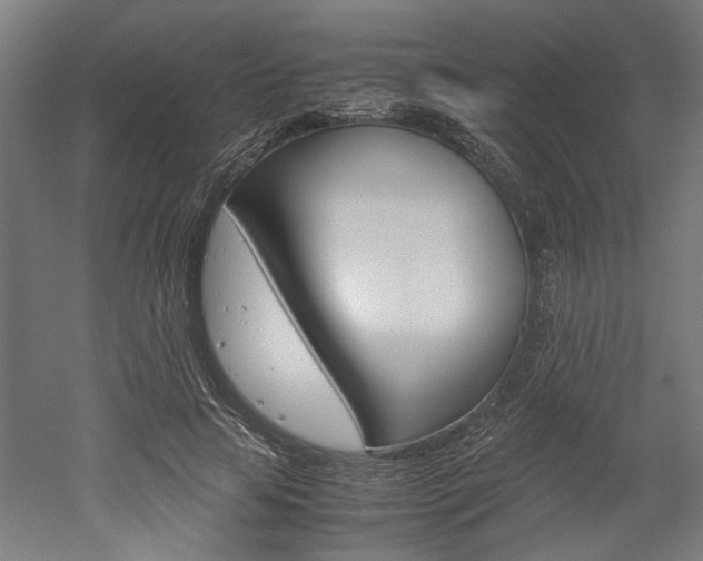 X0000052580641200507010914