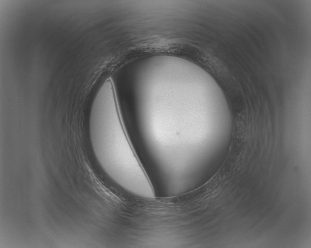 X0000052580642200507010914