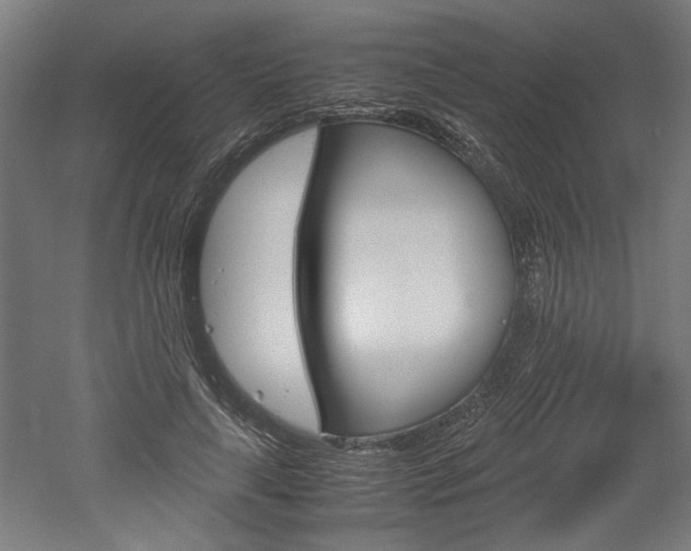 X0000052580643200507010914