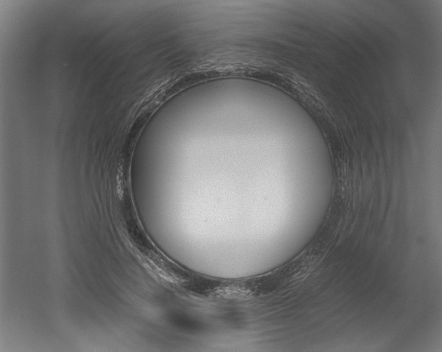 X0000052580644200507010914