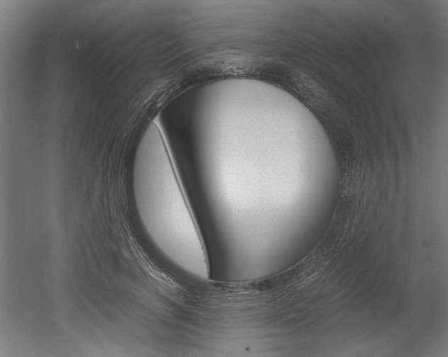 X0000052580646200507010914