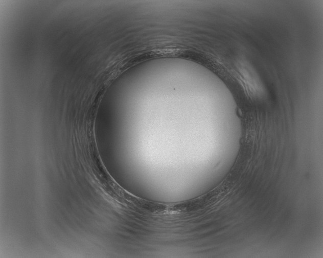 X0000052580647200507010914