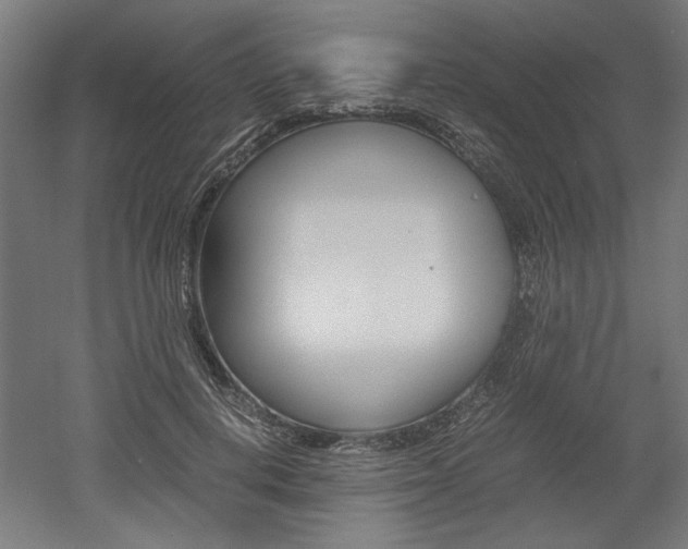 X0000052580648200507010914