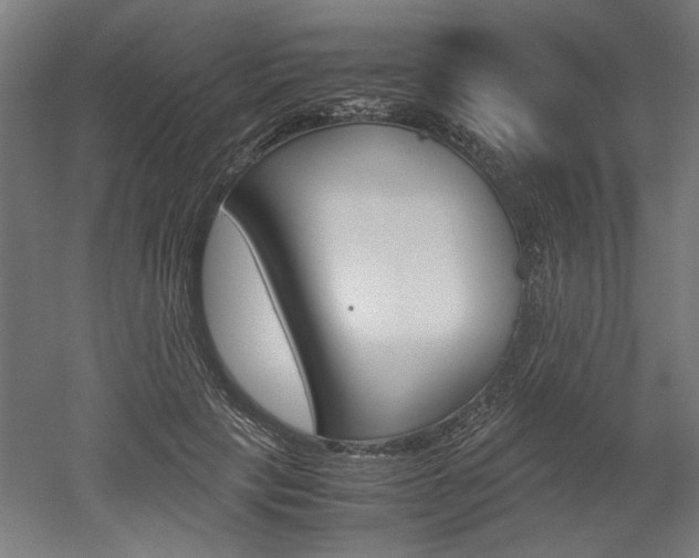 X0000052580649200507010914