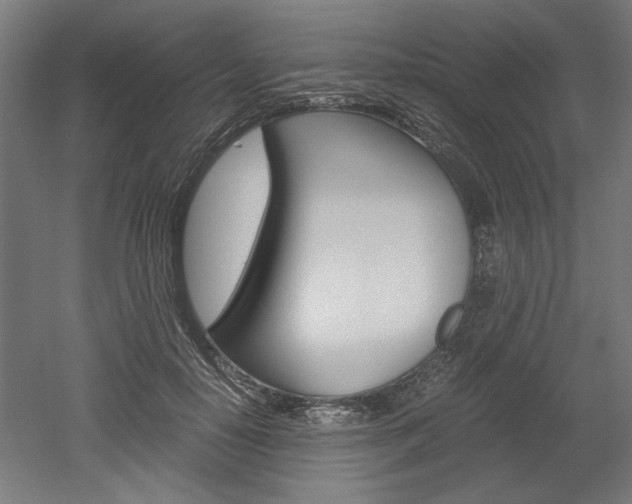 X0000052580650200507010914