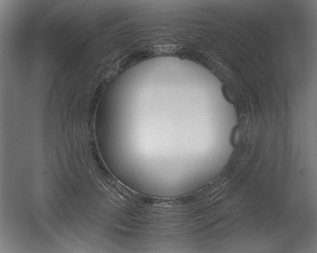 X0000052580655200507010915