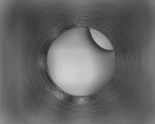 X0000052580663200507010915