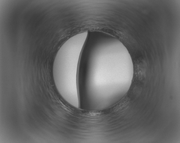 X0000052580664200507010915