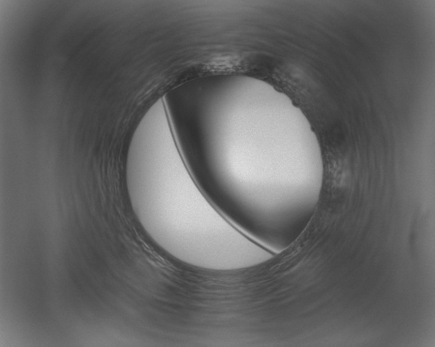 X0000052580665200507010915
