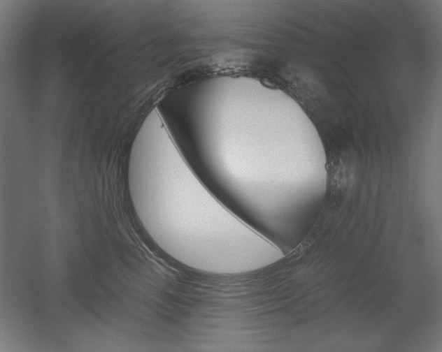 X0000052580666200507010915