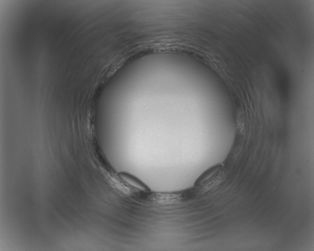 X0000052580670200507010915