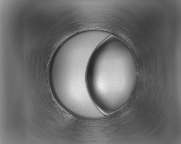 X0000052580673200507010914