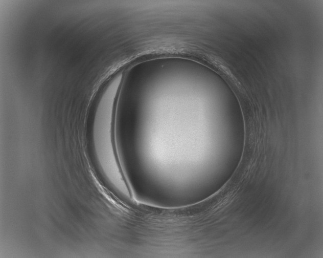 X0000052580677200507010914