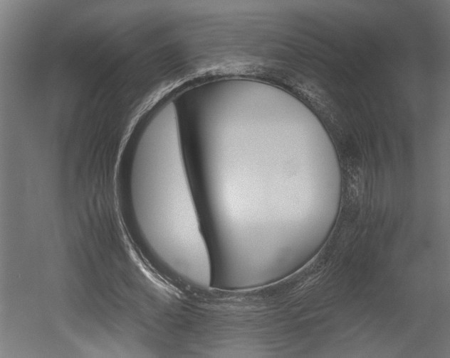 X0000052580678200507010914