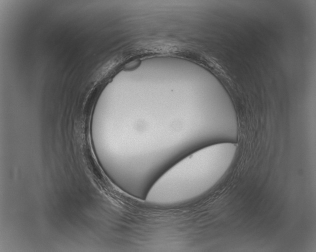 X0000052580679200507010914