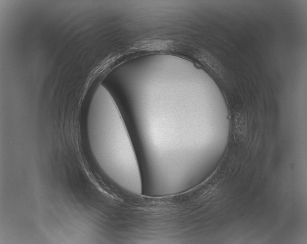 X0000052580682200507010914