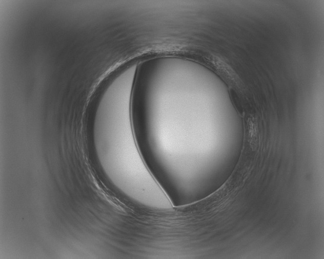 X0000052580684200507010914