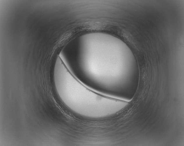 X0000052580685200507010914