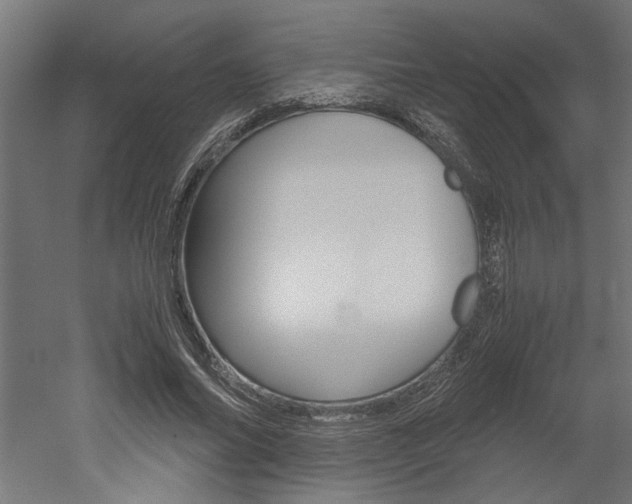 X0000052580686200507010914