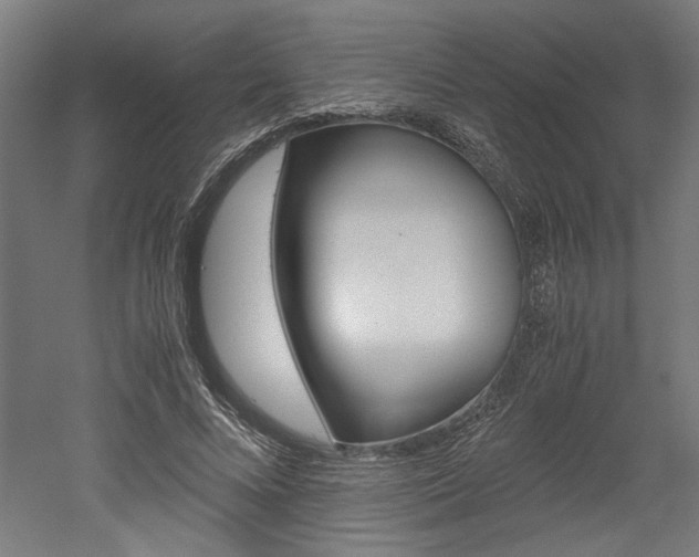 X0000052580688200507010914