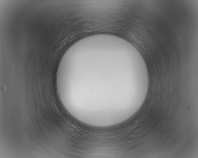 X0000052580689200507010914