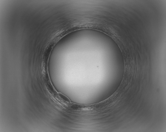 X0000052580692200507010914