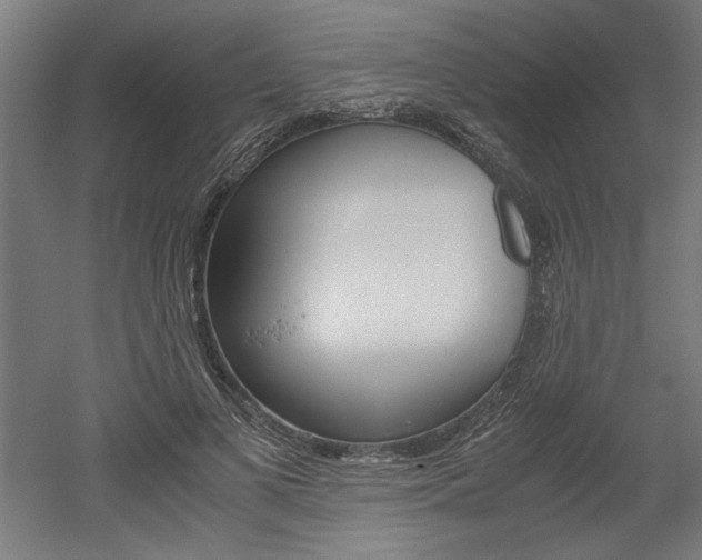 X0000052580693200507010914