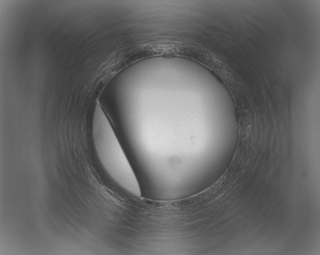 X0000052580696200507010914