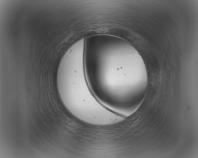 X0000052580697200507010914