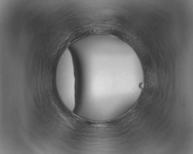 X0000052580698200507010914
