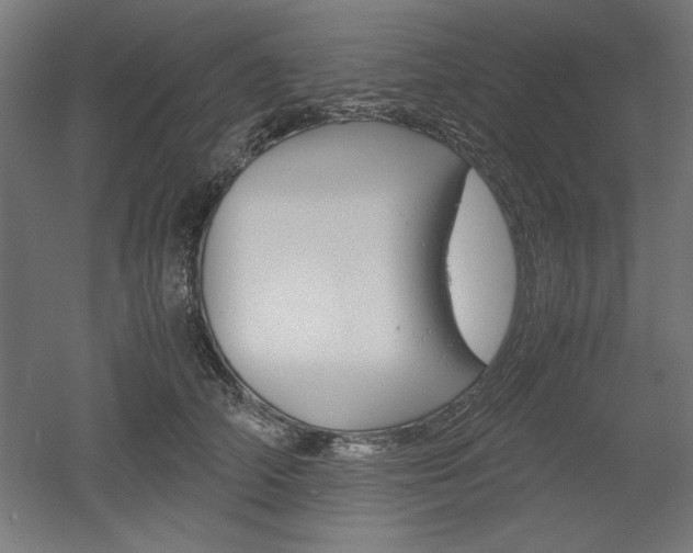 X0000052580706200507010913