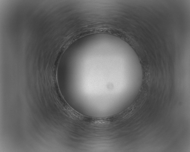 X0000052580708200507010913
