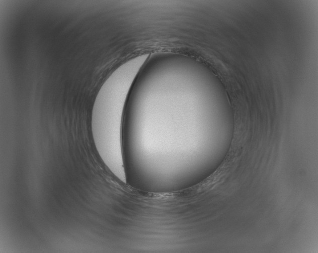 X0000052580720200507010913
