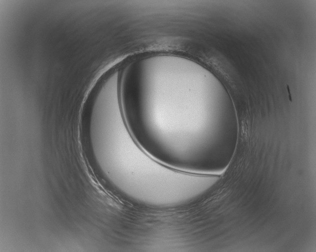 X0000052580724200507010913