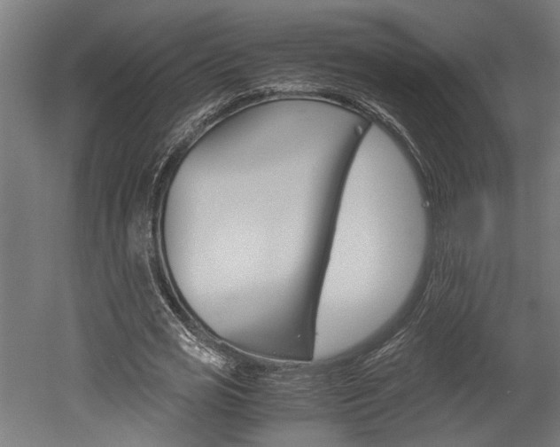X0000052580725200507010913