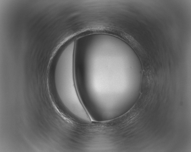 X0000052580728200507010913