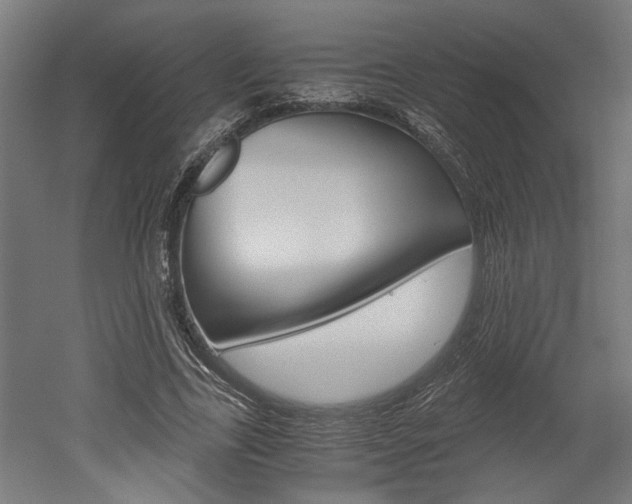X0000052580731200507010913