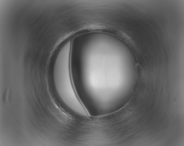 X0000052580732200507010913