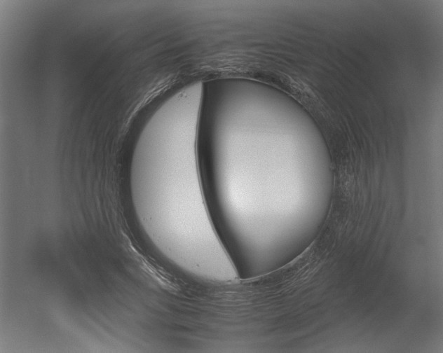 X0000052580735200507010913