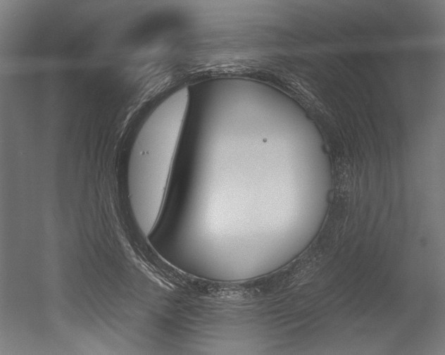 X0000052580738200507010913