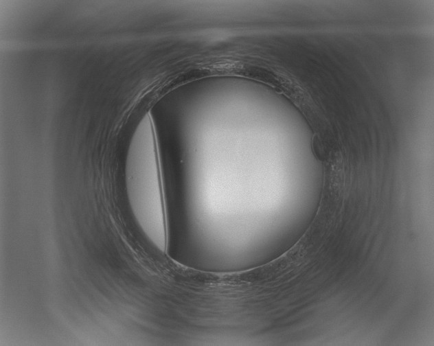 X0000052580739200507010913