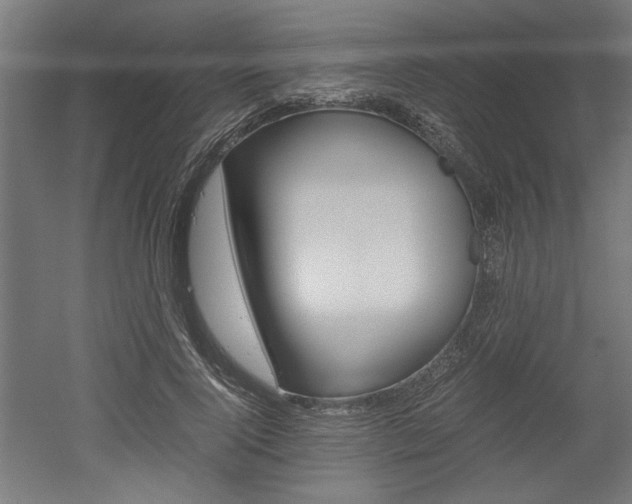 X0000052580740200507010913