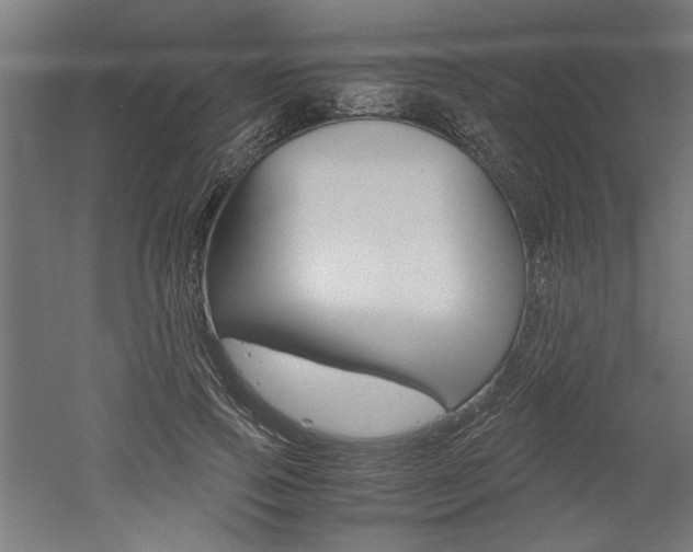 X0000052580741200507010913